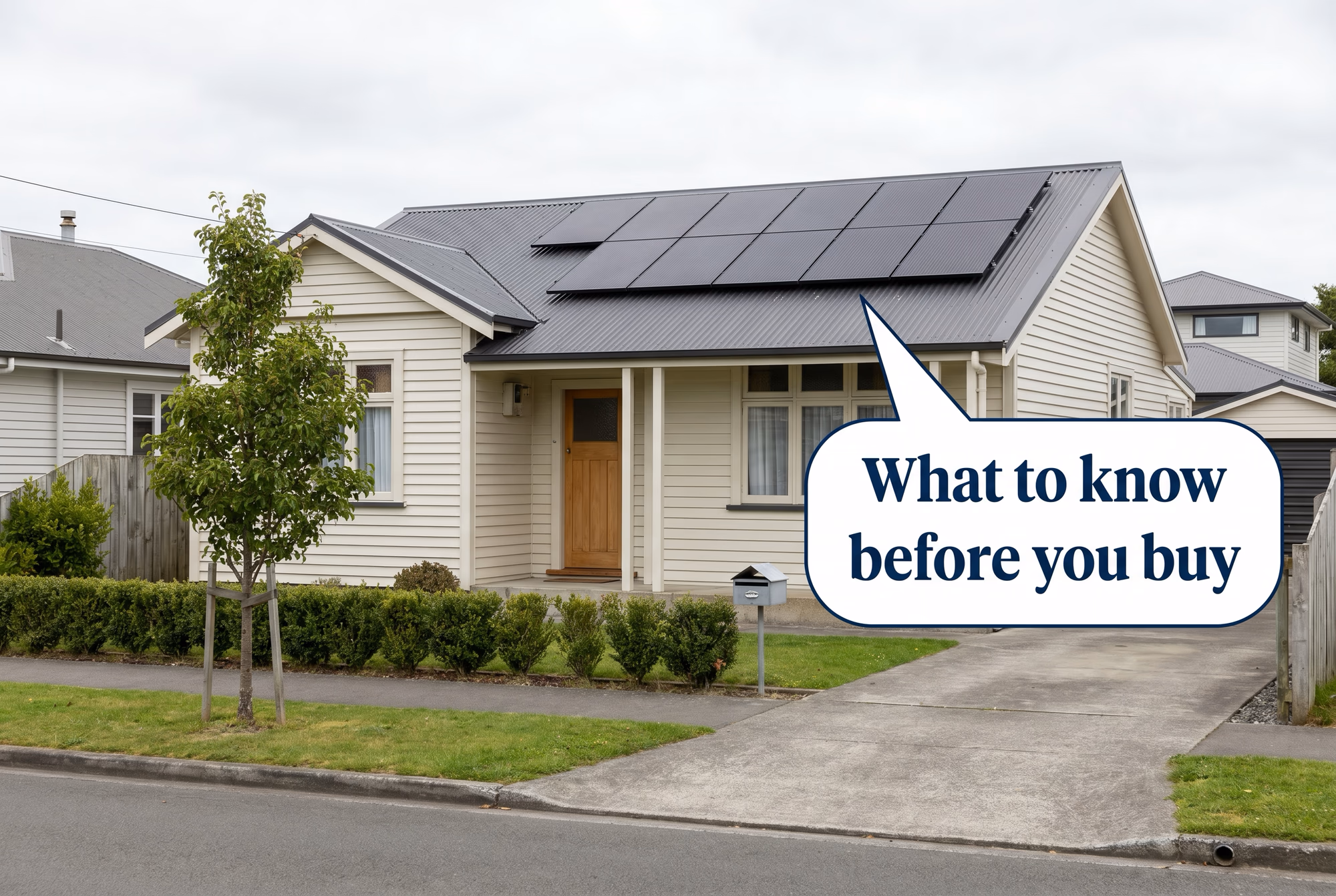 Buying Solar Panels in NZ: What You Need to Know